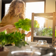 Illustration for article titled This Indoor Garden Will Feed You Greens Year-Round